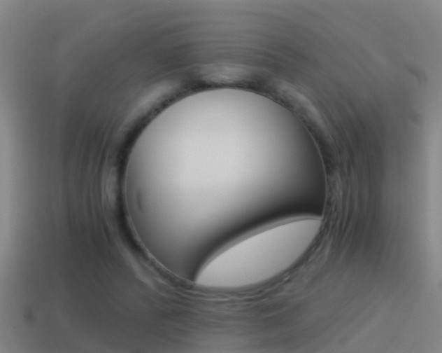 X0000114410400200910161036