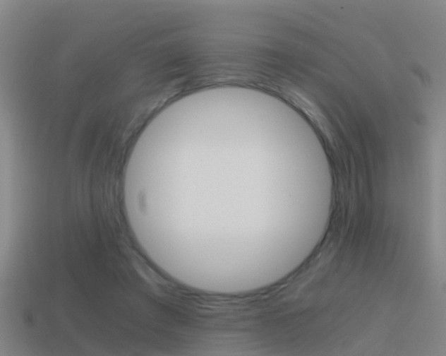 X0000114410401200910161036