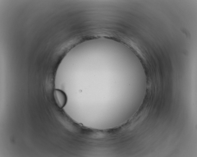X0000114410402200910161036