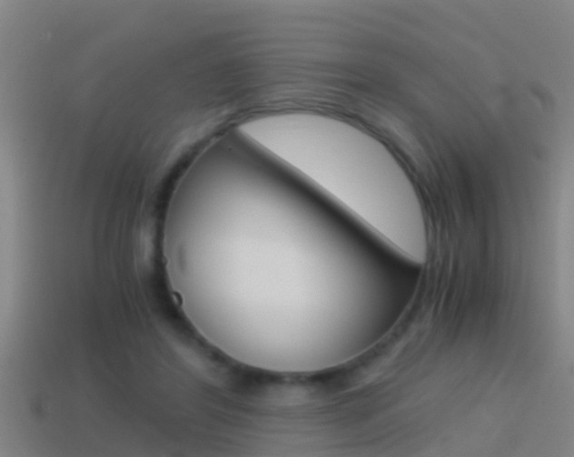 X0000114410404200910161036