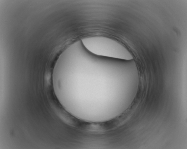 X0000114410406200910161036
