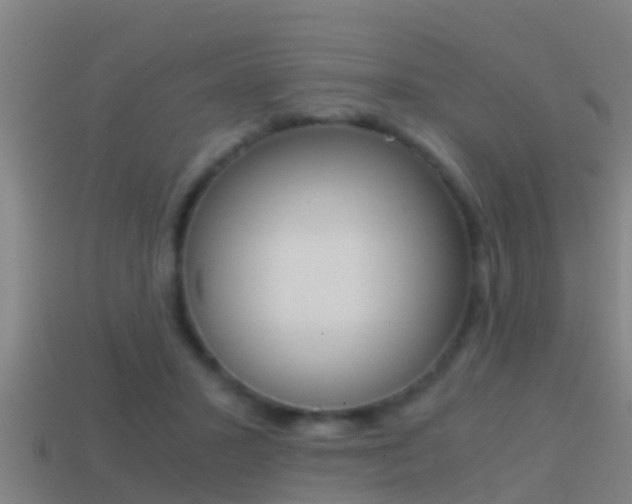 X0000114410407200910161036