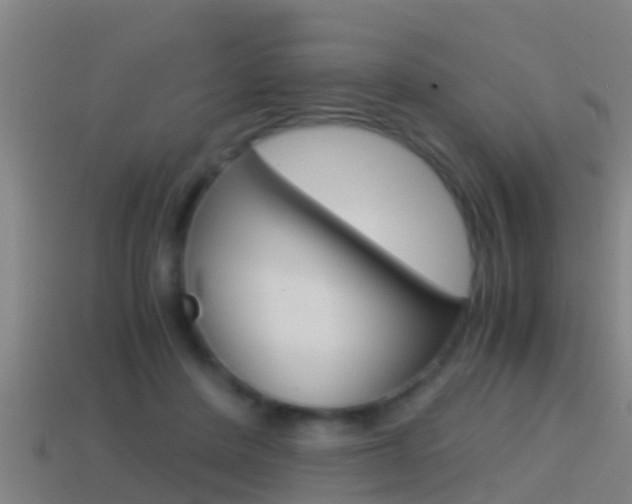 X0000114410408200910161036