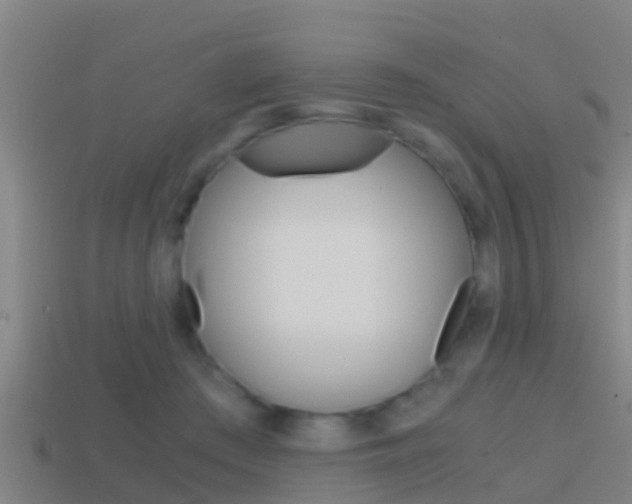 X0000114410409200910161036