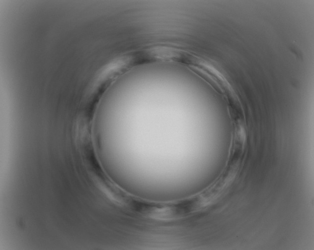 X0000114410411200910161036