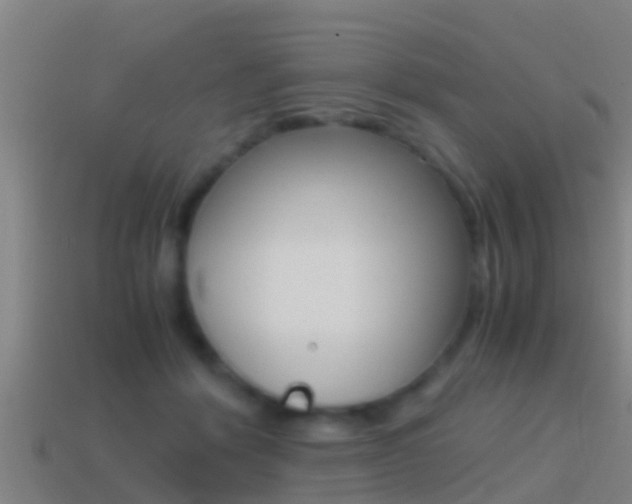 X0000114410412200910161036