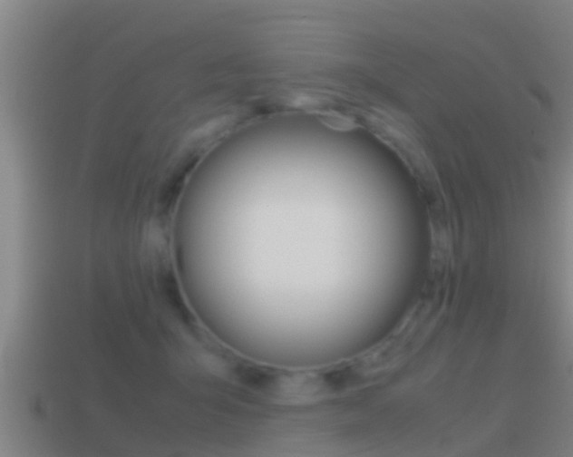 X0000114410415200910161036