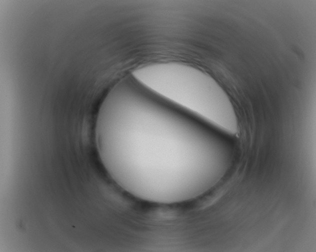 X0000114410416200910161036