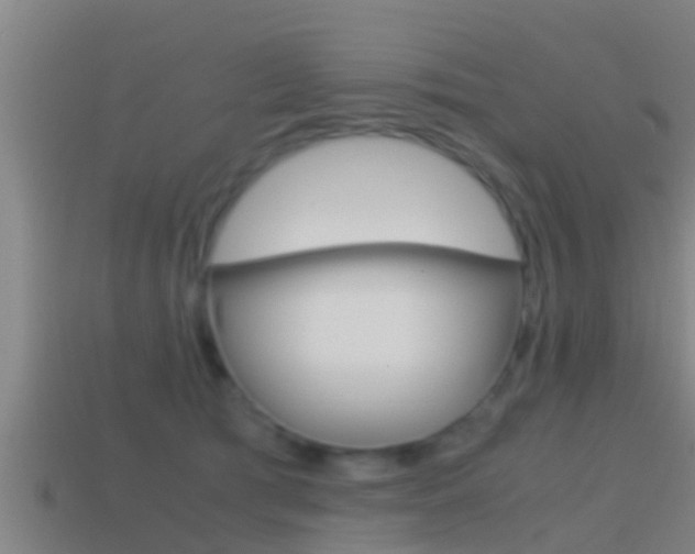 X0000114410417200910161036