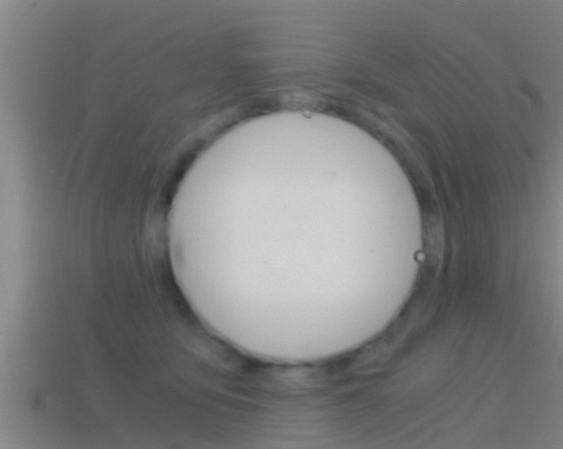 X0000114410419200910161036