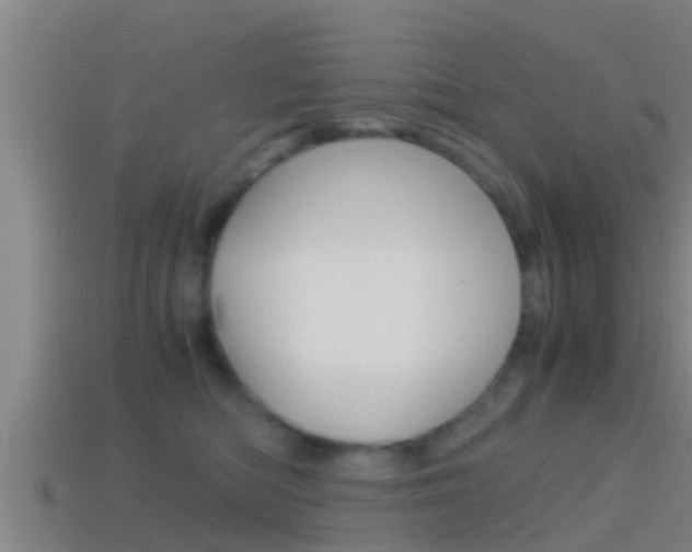 X0000114410422200910161036