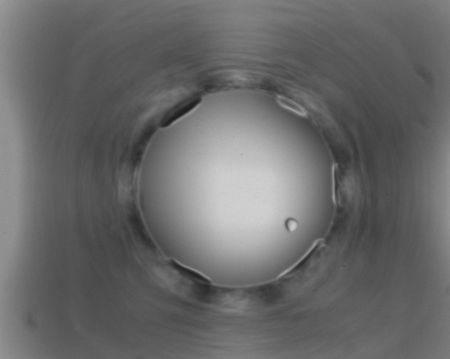 X0000114410423200910161036