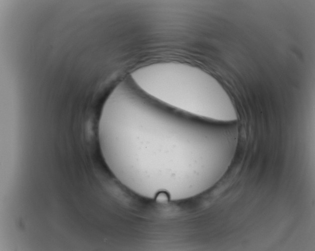 X0000114410424200910161036