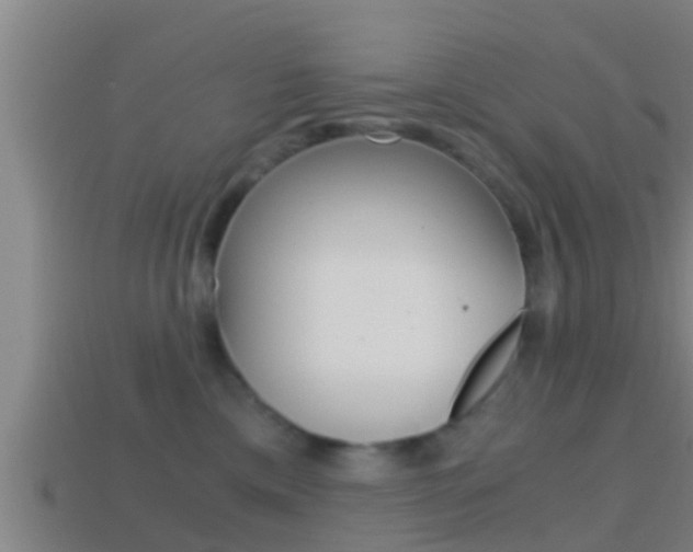 X0000114410425200910161036
