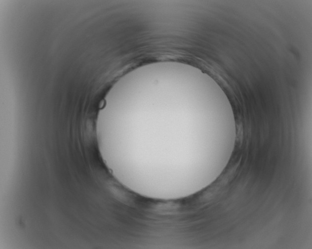 X0000114410426200910161036
