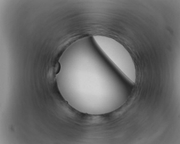 X0000114410428200910161036