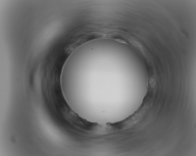 X0000114410429200910161036