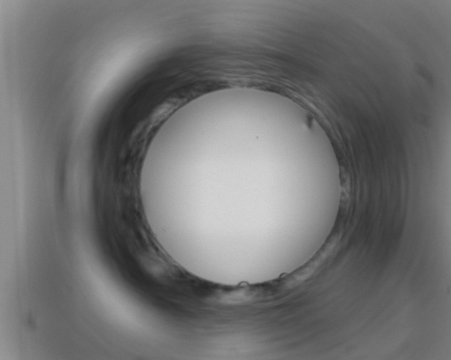 X0000114410430200910161036