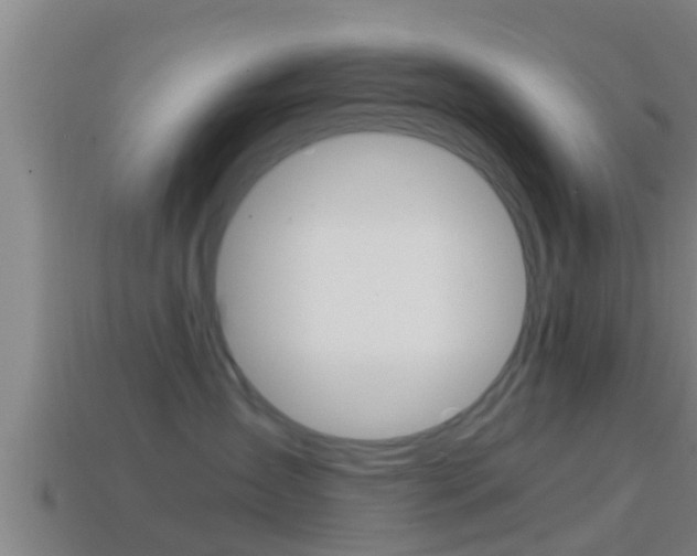 X0000114410431200910161036
