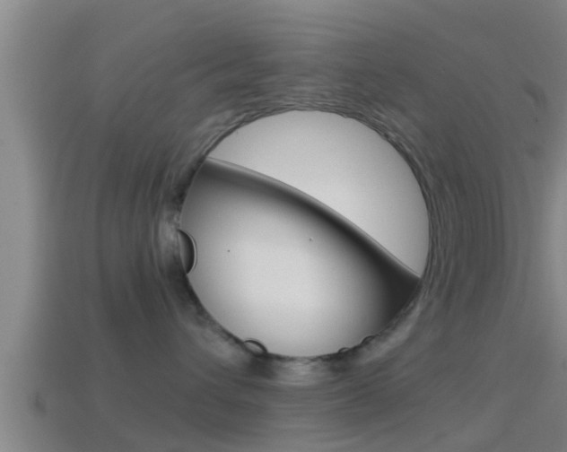 X0000114410432200910161036