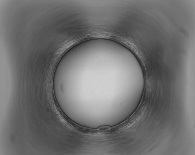 X0000114410433200910161035