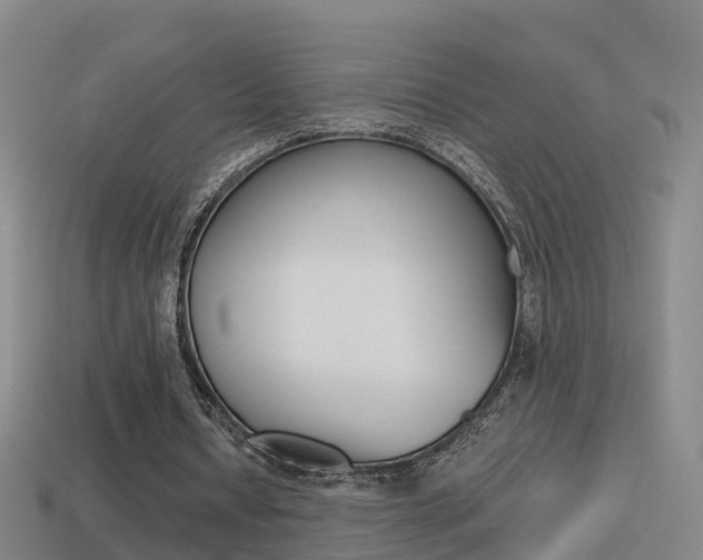 X0000114410434200910161035