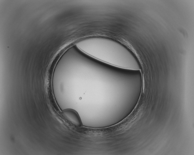 X0000114410435200910161035