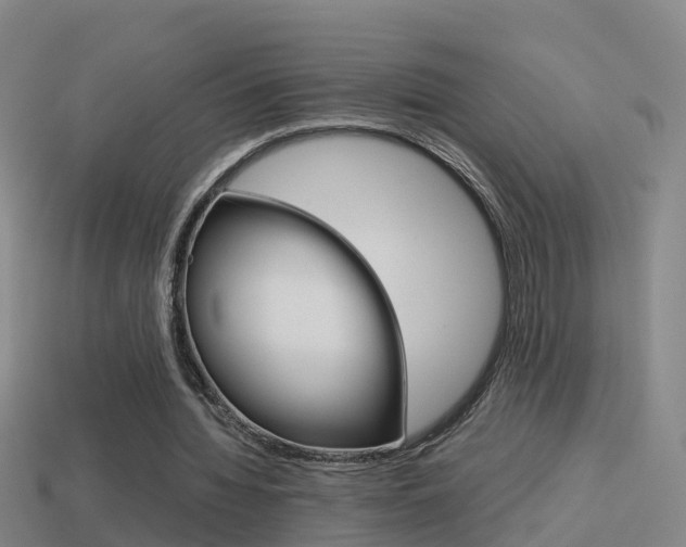 X0000114410436200910161035