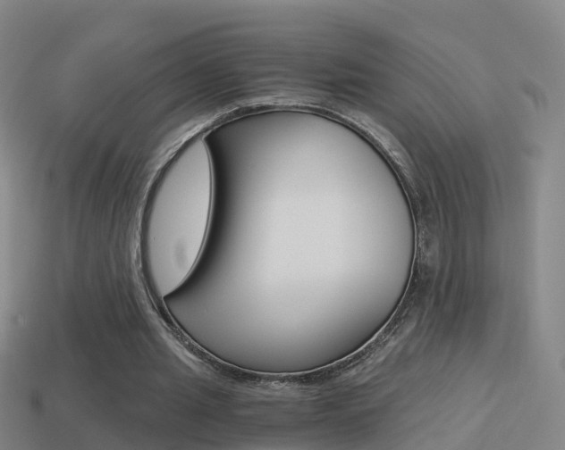 X0000114410437200910161035