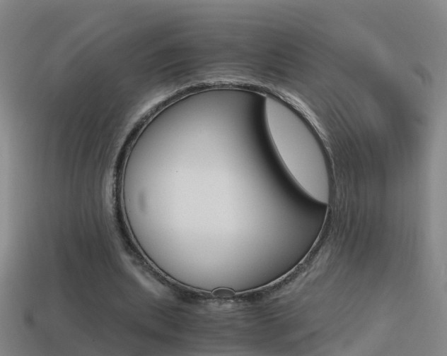 X0000114410439200910161035
