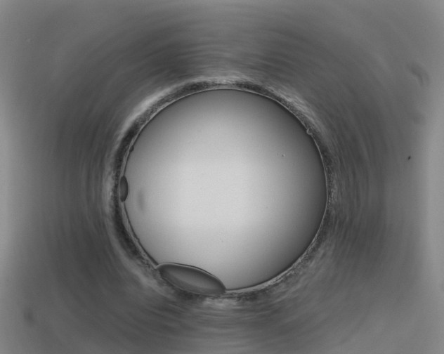 X0000114410440200910161035