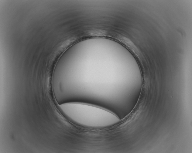 X0000114410441200910161035