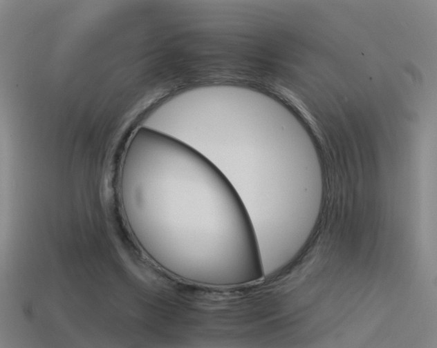 X0000114410443200910161035