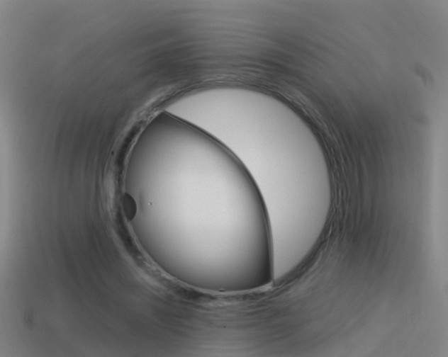 X0000114410444200910161035