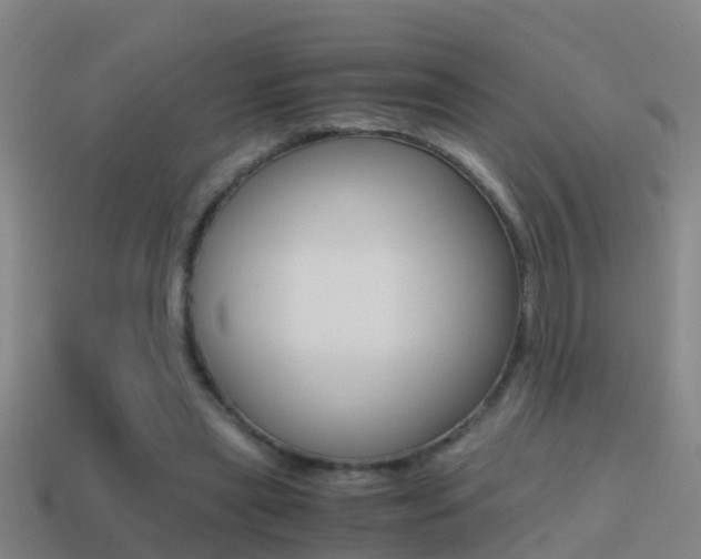 X0000114410445200910161035