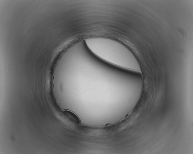 X0000114410446200910161035