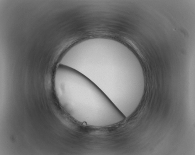 X0000114410447200910161035