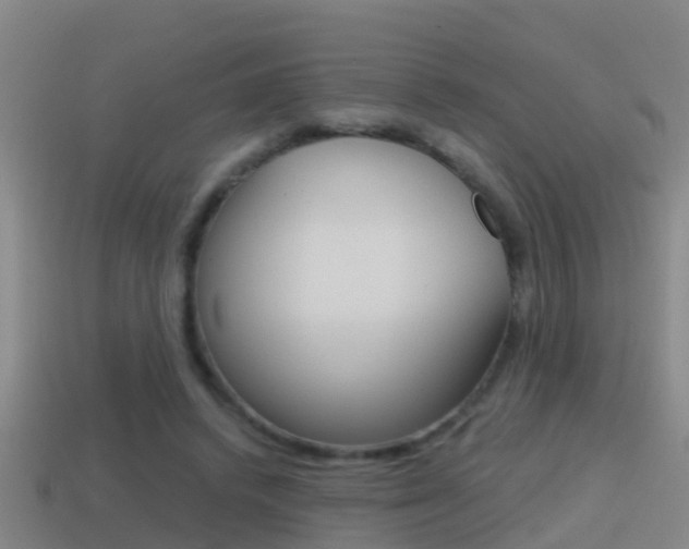 X0000114410448200910161035