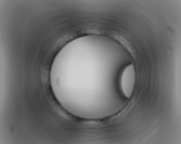 X0000114410449200910161035