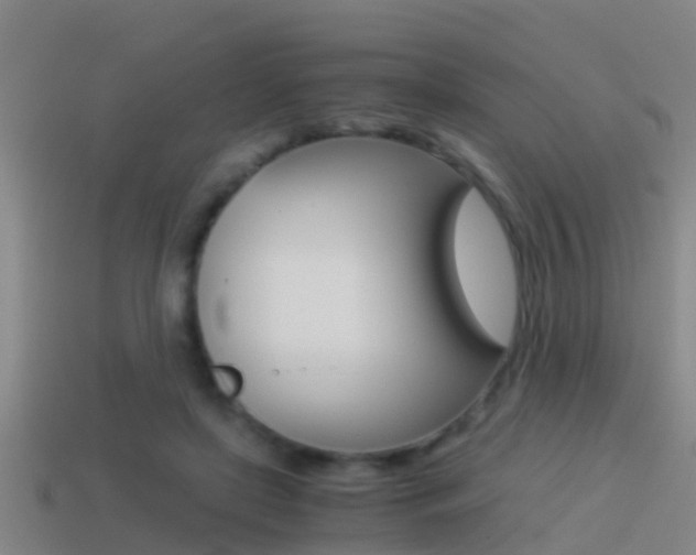 X0000114410451200910161035
