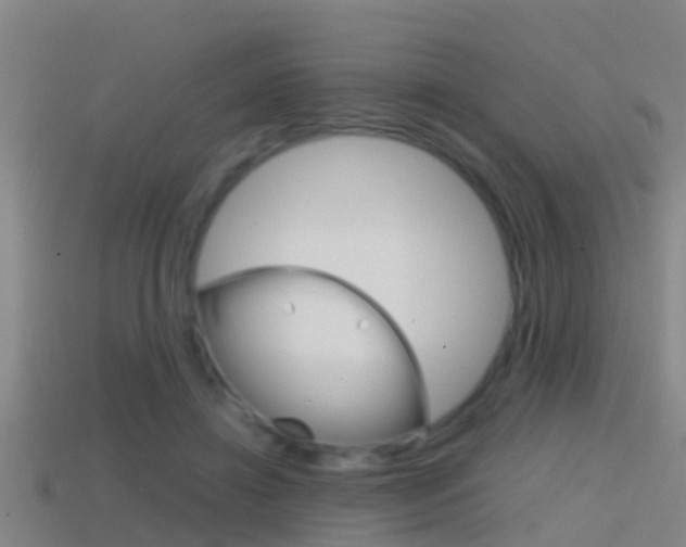 X0000114410452200910161035