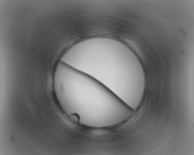 X0000114410453200910161035