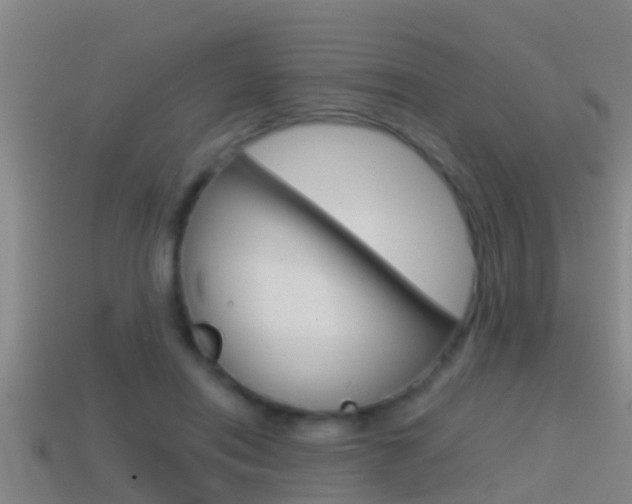 X0000114410454200910161035