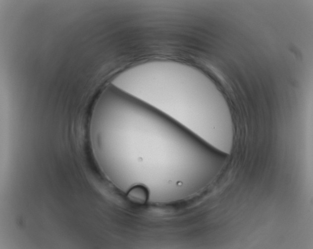 X0000114410455200910161035