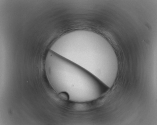 X0000114410457200910161035