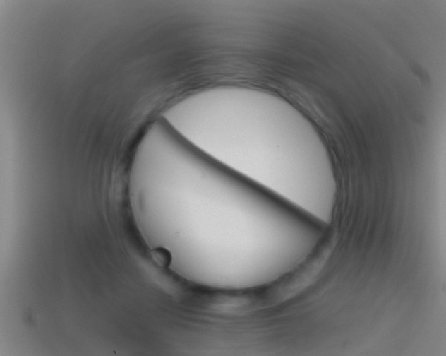 X0000114410458200910161035