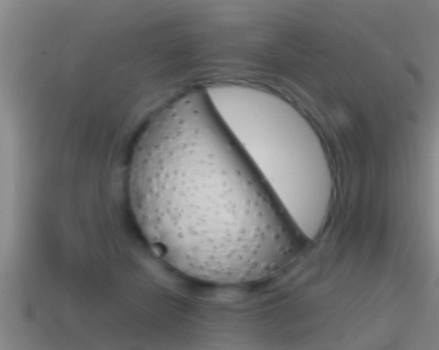 X0000114410462200910161036