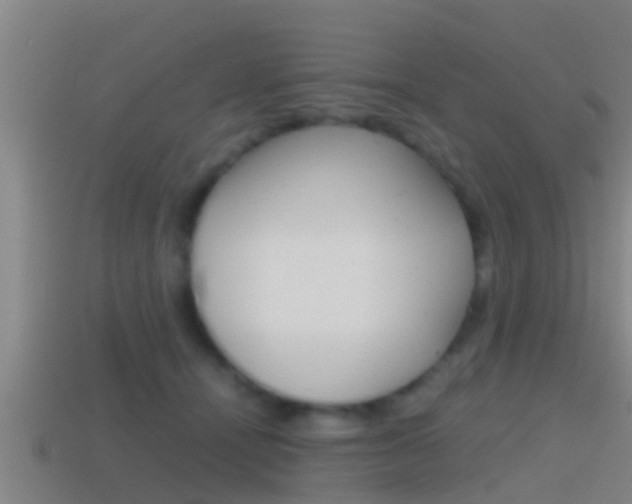 X0000114410464200910161036