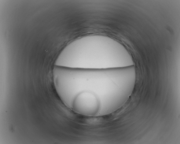 X0000114410465200910161036