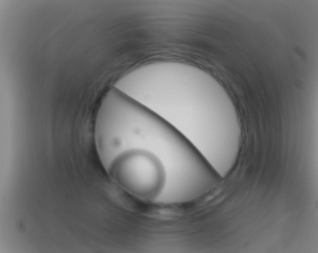X0000114410466200910161036